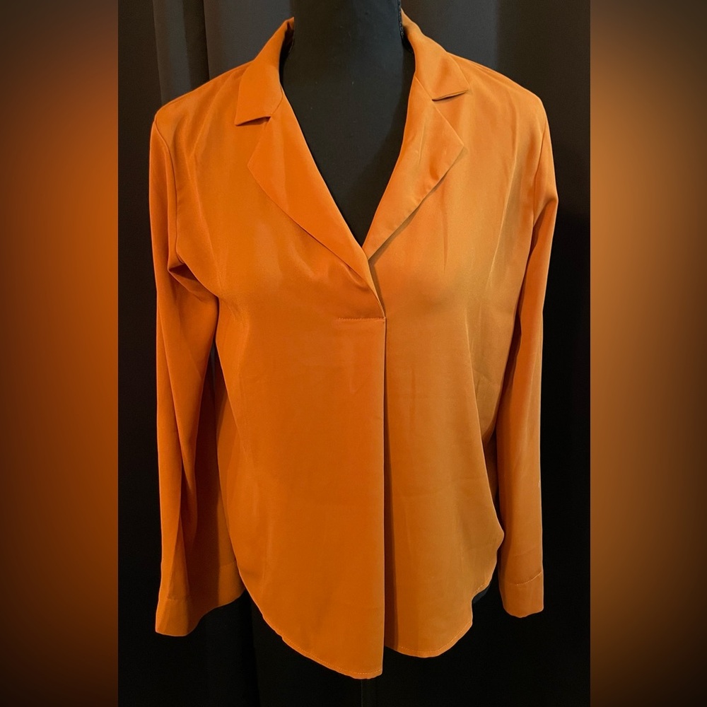 beautiful silk blouse